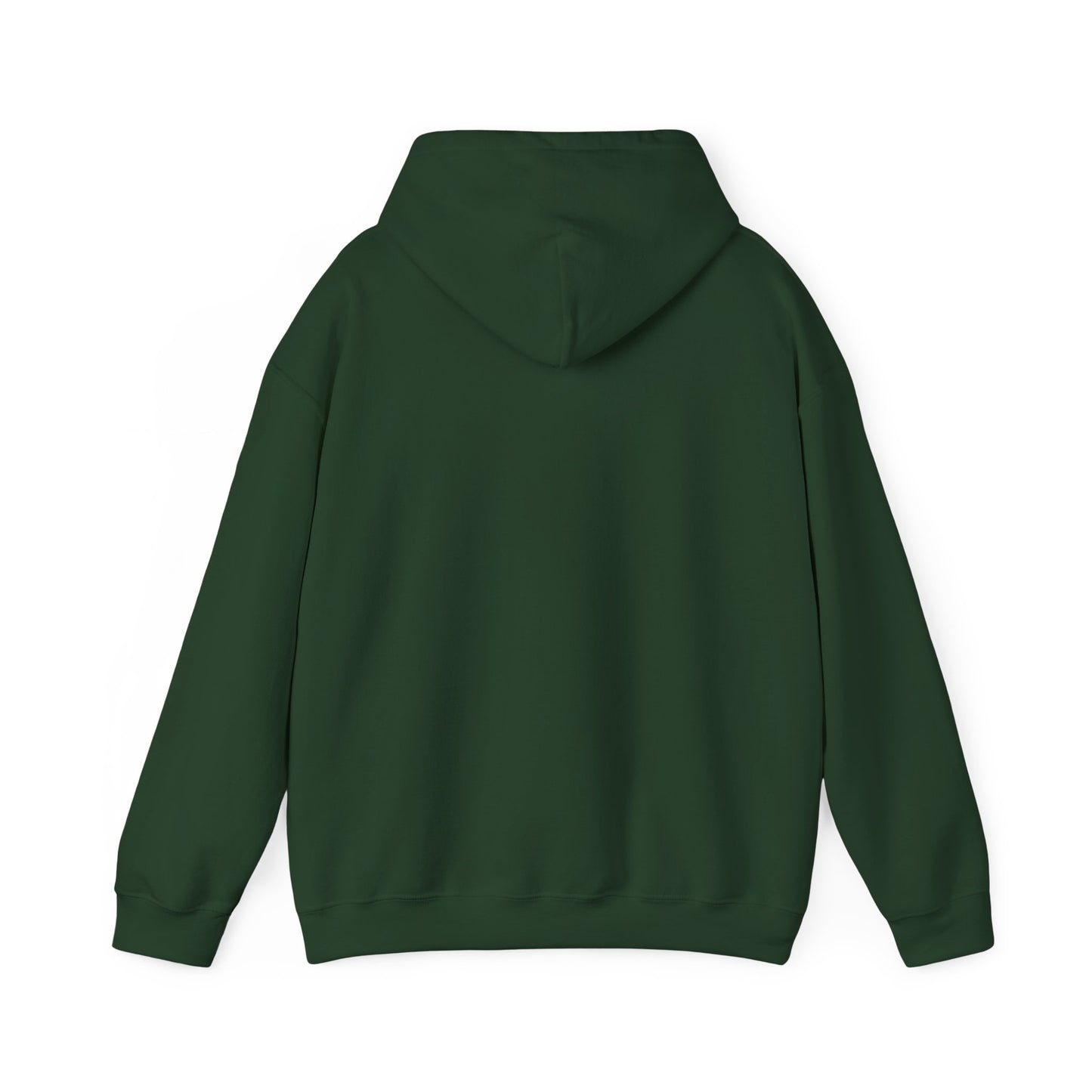 Walk in Faith Trust His Plan Hoodie