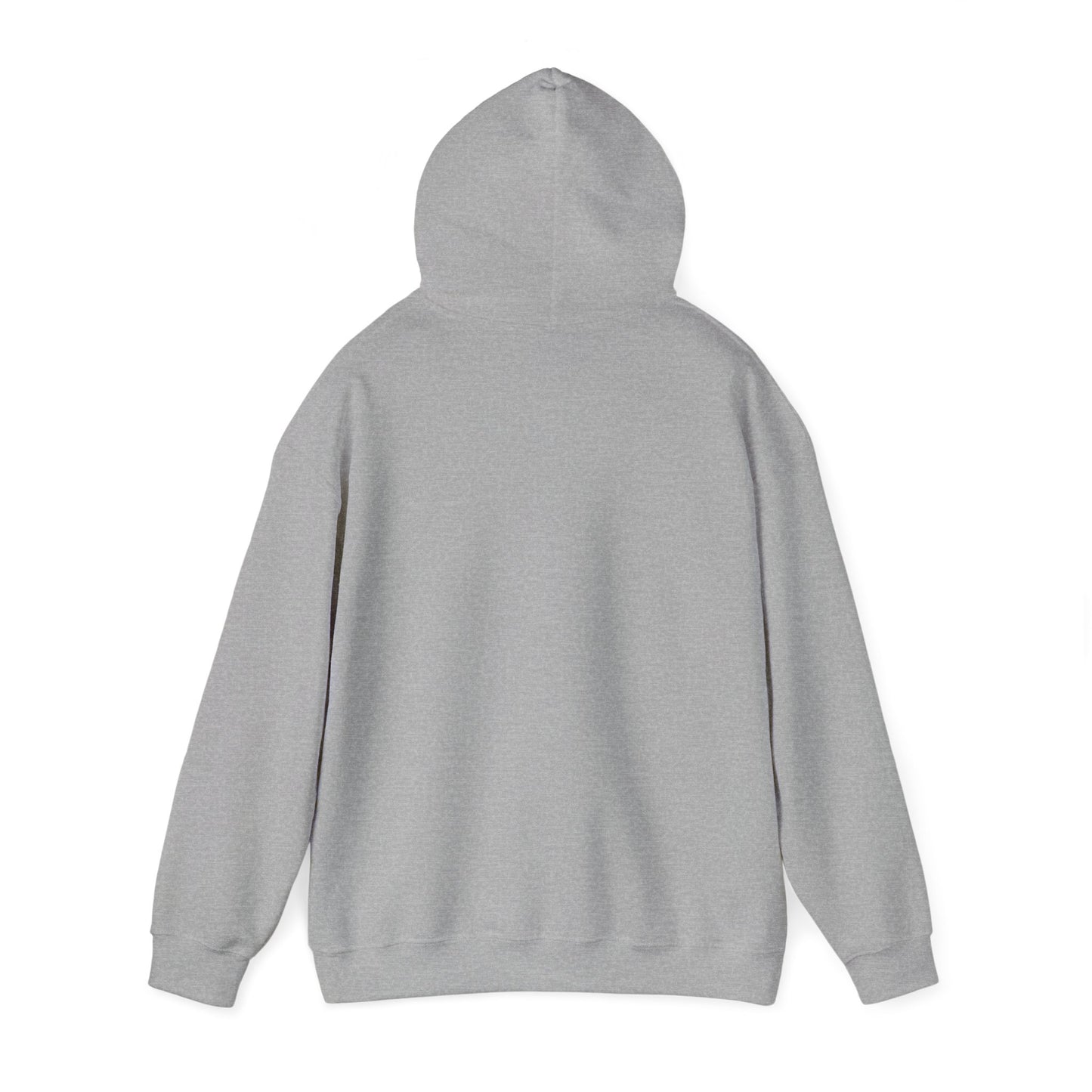 Walk in Faith Trust His Plan Hoodie