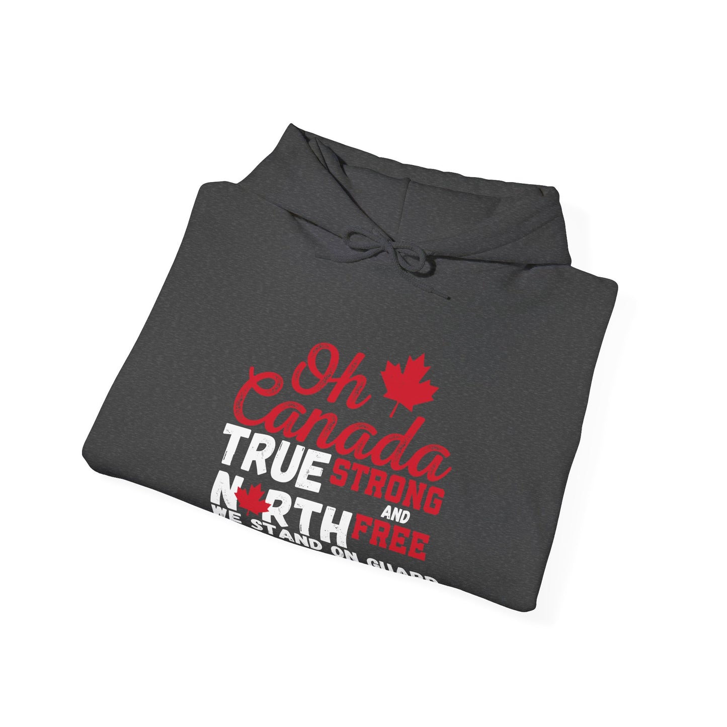Oh Canada True North Unisex Hoodie