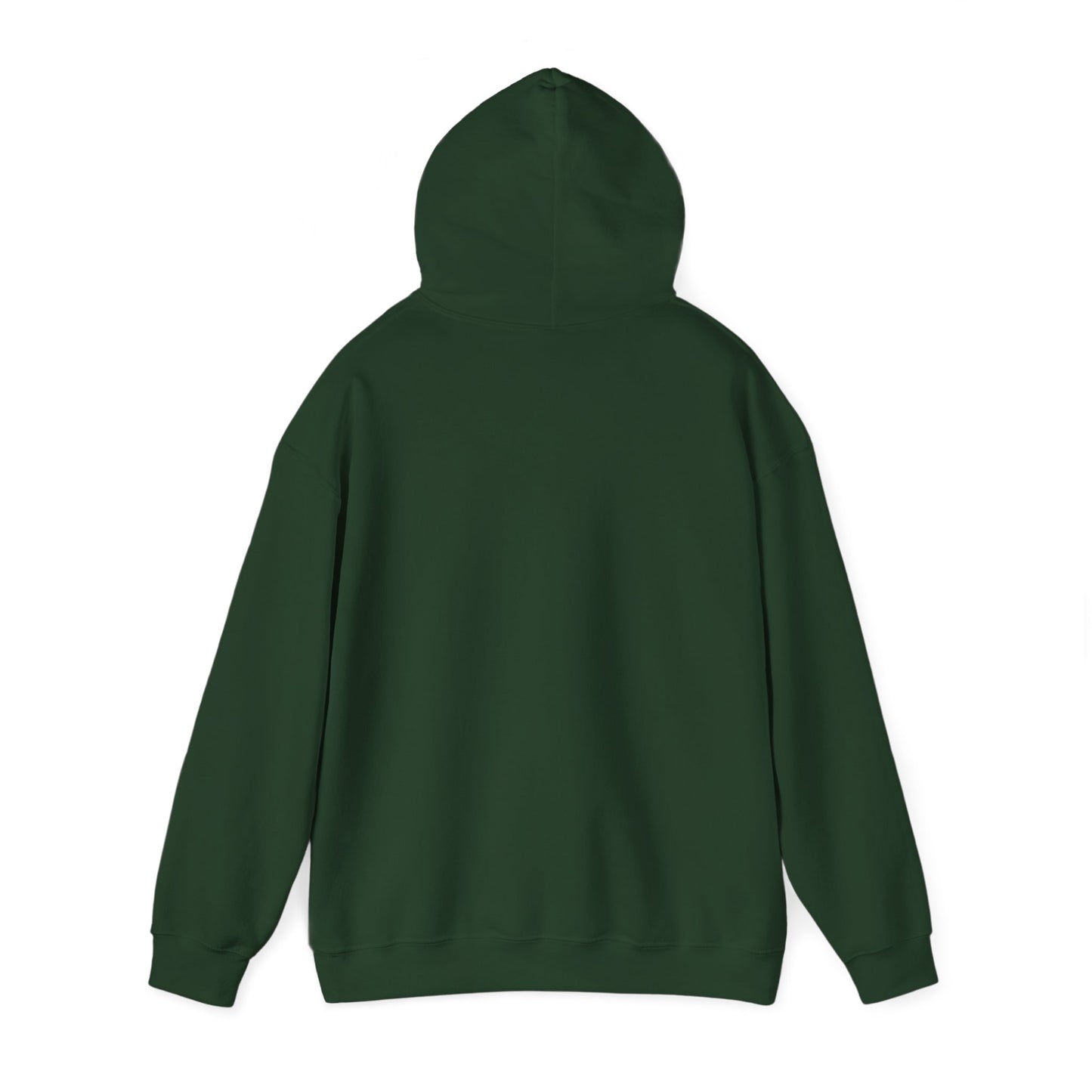 Walk in Faith Trust His Plan Hoodie