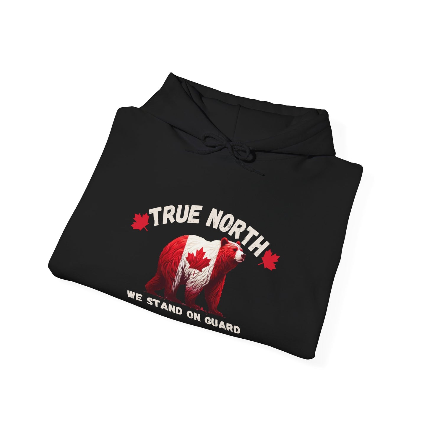 True North We Stand on Guard hoodie