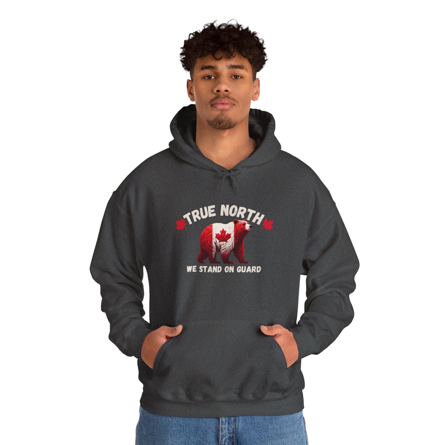 True North We Stand on Guard hoodie