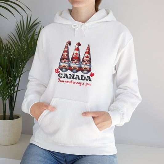 Gnome Sweet Gnome: Canada Edition, Canada Gnome Cozy Hoodie